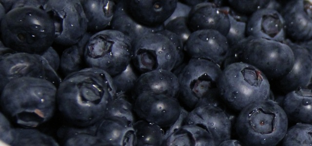 WUNDERLEBEN - Blueberries